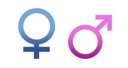 الجنس فى اللغة الاسبانية Género وقواعد تحديد جنس الاسم (مذكر أو مؤنث)